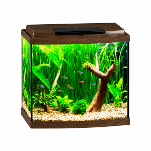 Аквариум 38 литров Biodesign Классик 40R (45x25x42 см.)