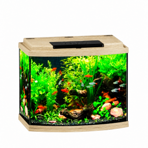 Аквариум 53 литров Biodesign Классик 50R (50x29x45 см.) без тумбы