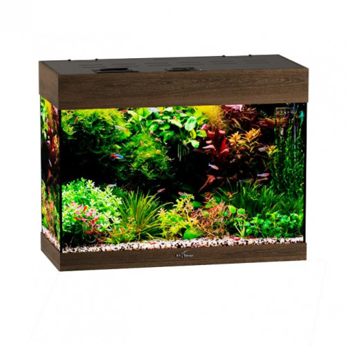 Аквариум Биодизайн Startup 60 (60 литров)