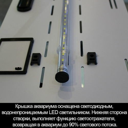 Аквариум Биодизайн Startup 60 (60 литров)