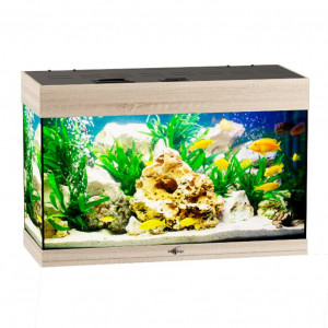 Аквариум 70 литров Biodesign Startup 70 (70x30x42 см.) без тумбы
