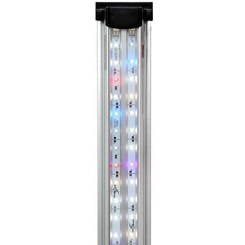 Светильник Биодизайн LED Scape Maxi Color (55 см.)