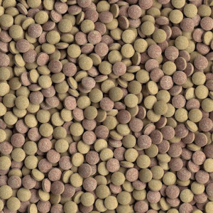Tetra Tablets TabiMin 66 мл
